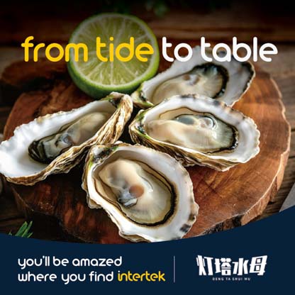Fresh oysters cracked open on a wooden table next to a slice of lime